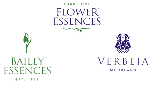 Yorkshire Flower Essences | FOIM Sponsor