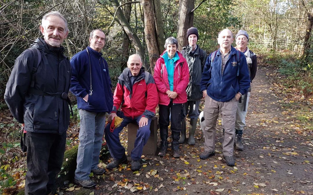 FoIM win Heritage Lottery Fund for “Nature For All” Project