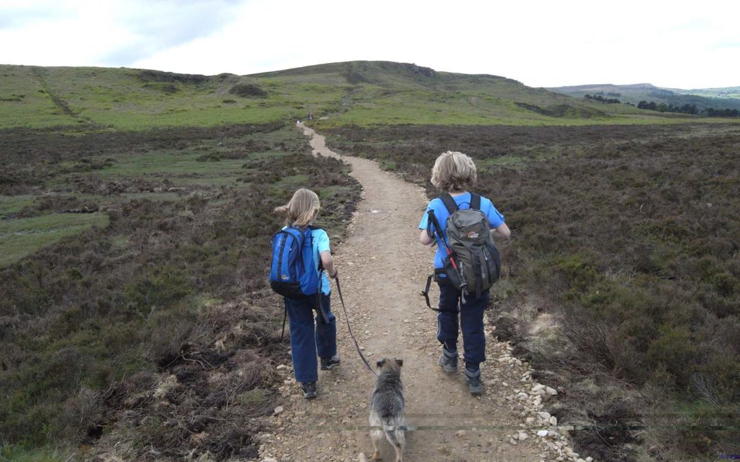 Footpath | Friends Of Ilkley Moor