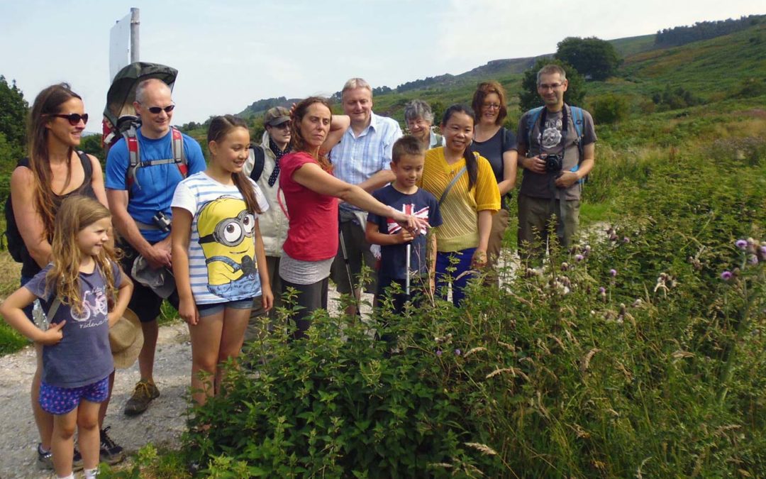 Wild Life Survay | Friend of Ilkley Moor