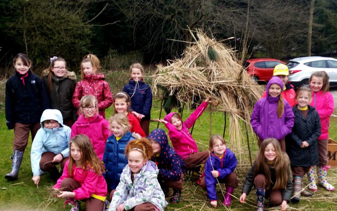 Rotherham Brownies build a Natural Shelter