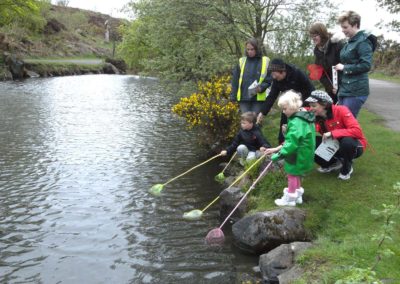 Pond Dippers | Friends of Ilkley Moor