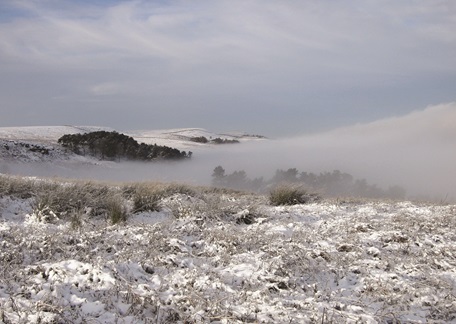 December 2024 Newsletter