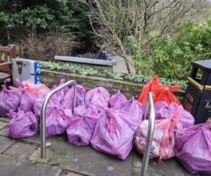 Ilkley Moor Litter Pick